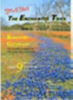 rustic cabins dsign, small homes