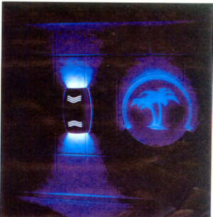 fiber optic lighting, landscaping design