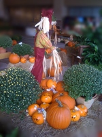 wine, thanksgiving, turkey wine pairing